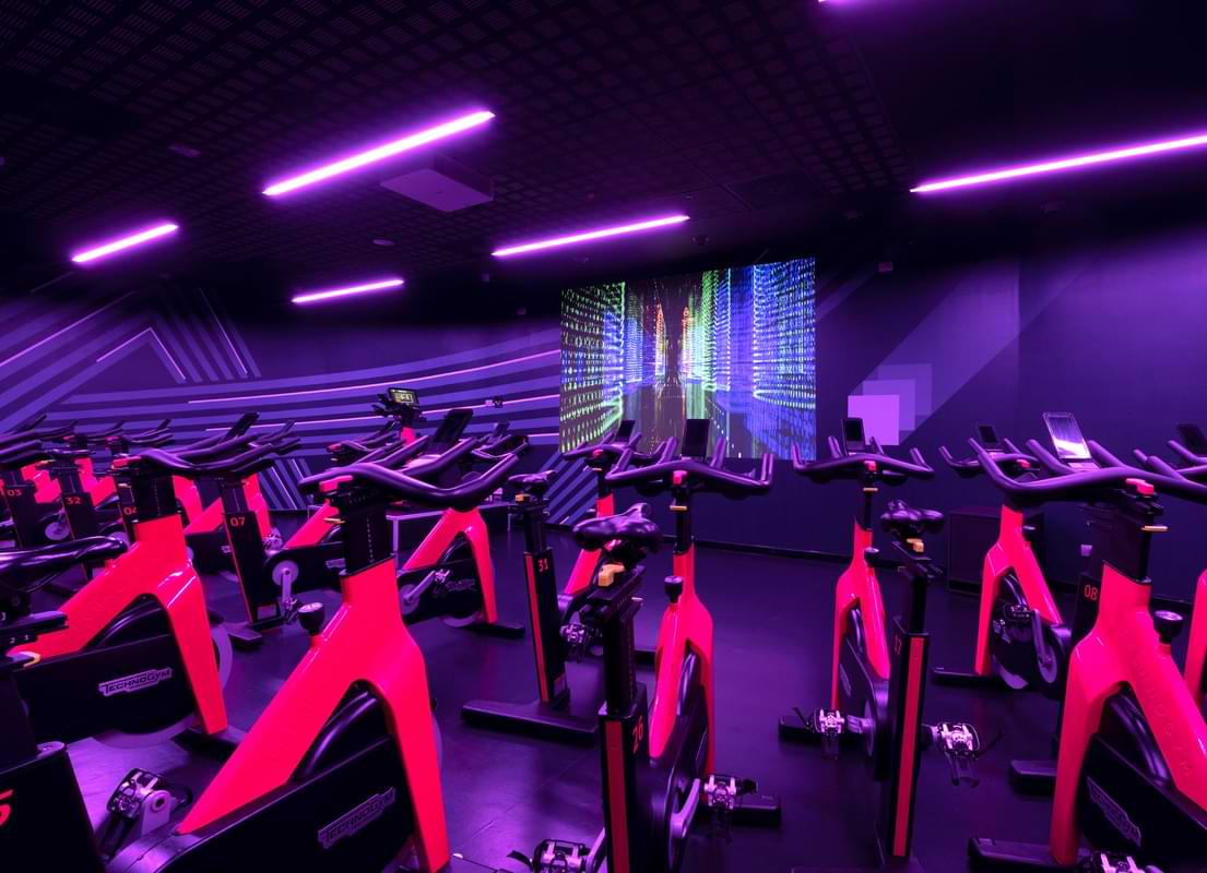Studio Cycle