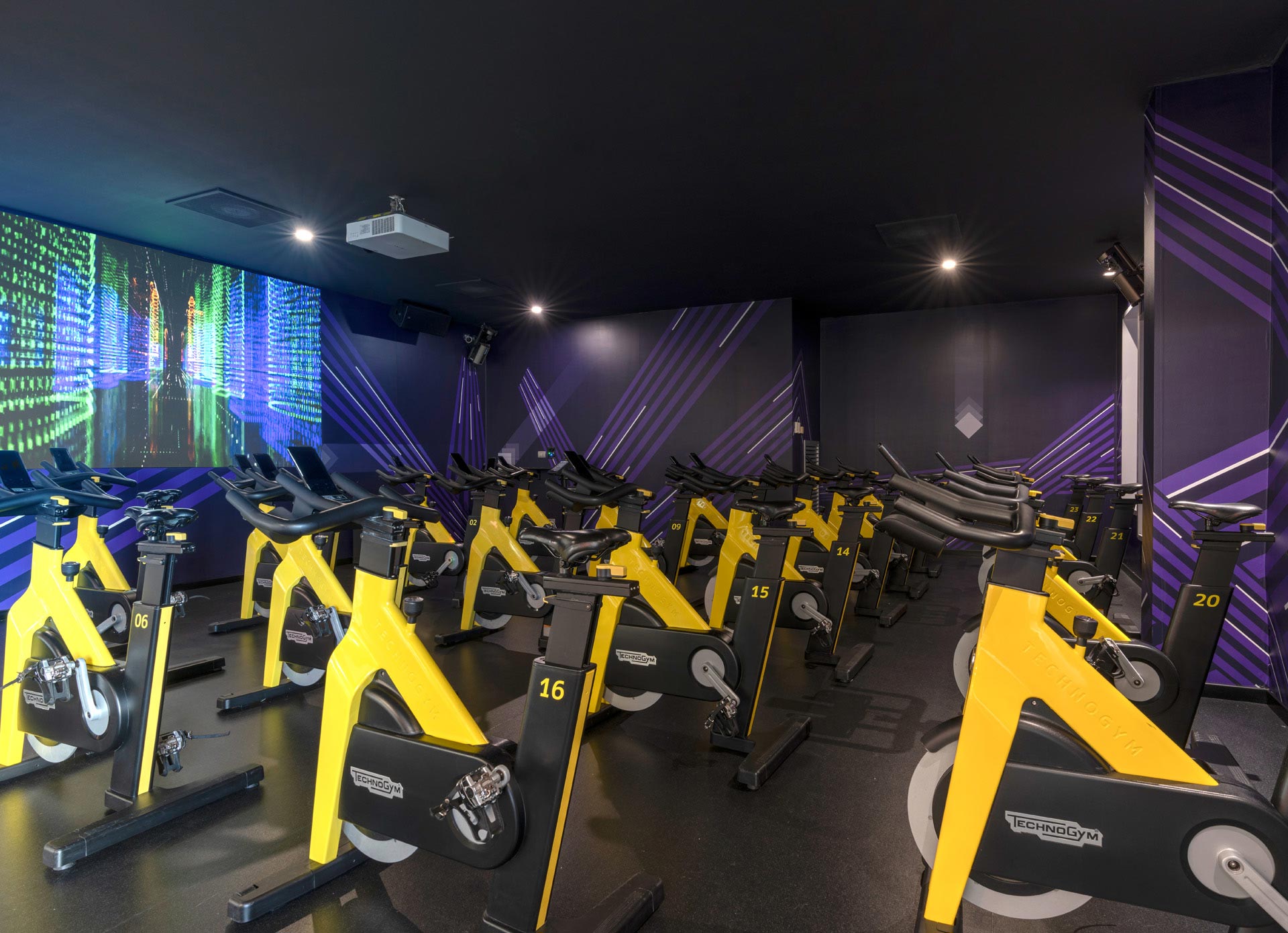 Studio Cycle
