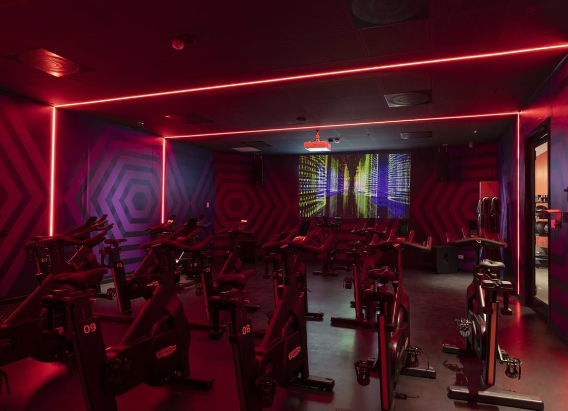 Studio Cycle