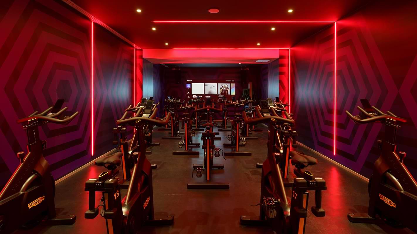 Studio Cycle