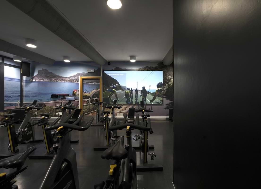 Studio Cycle