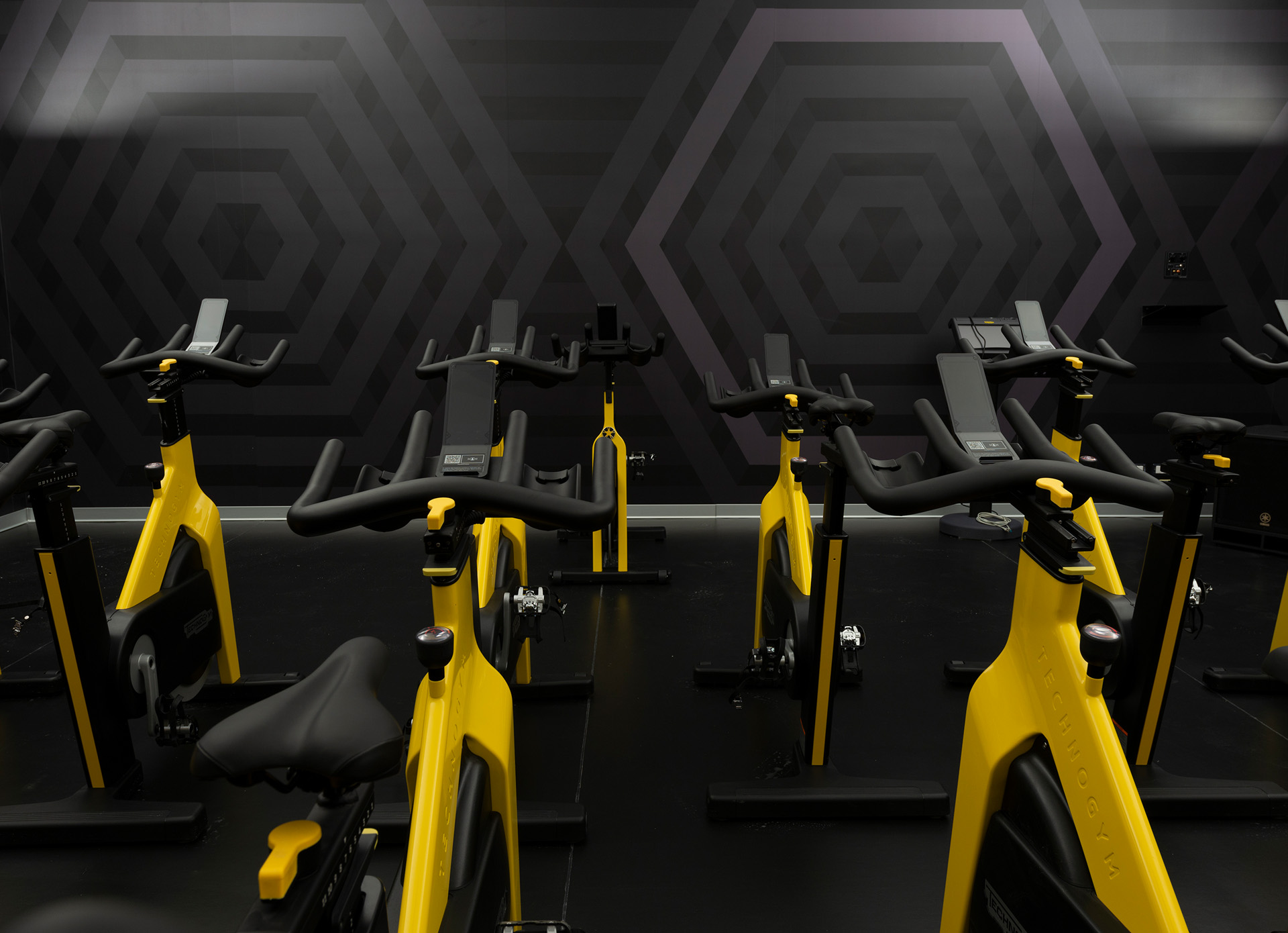 Cycle Studio