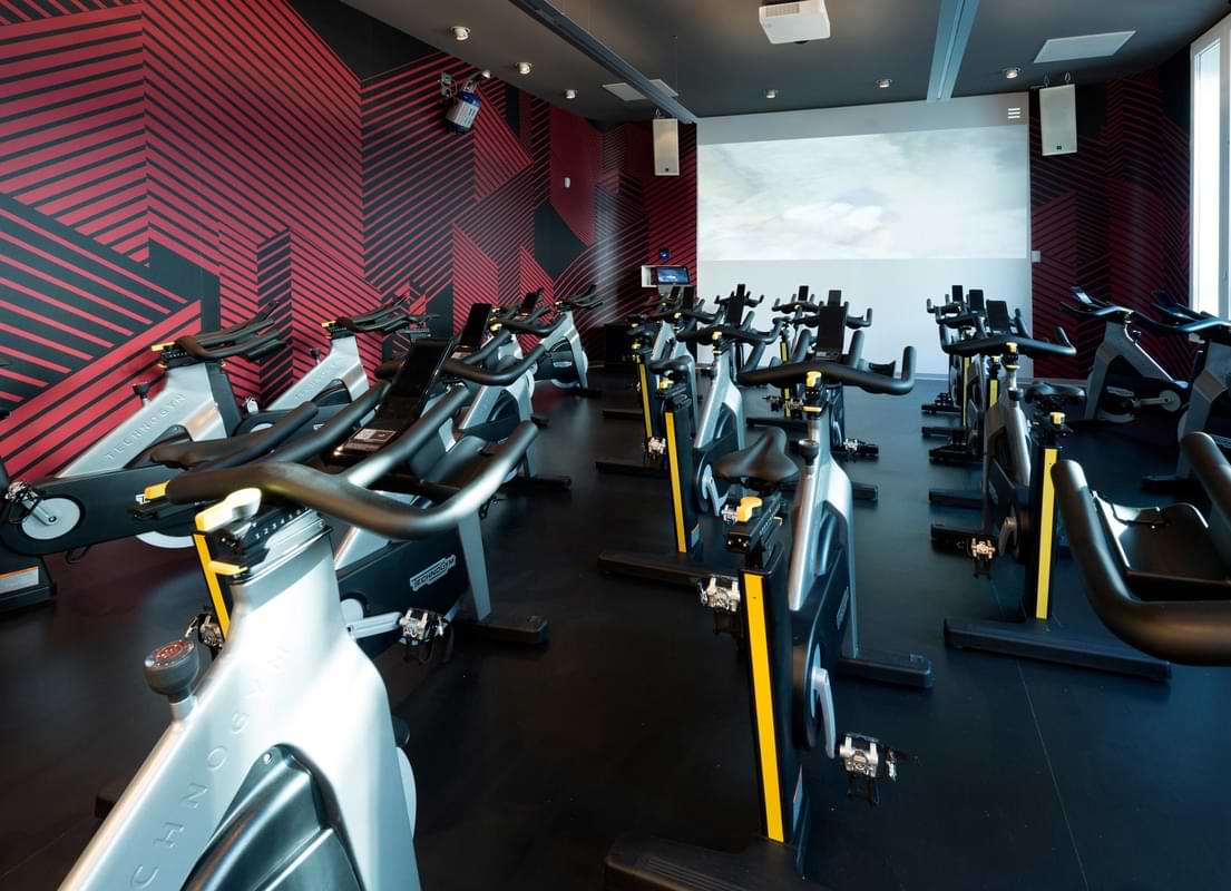Studio Cycle