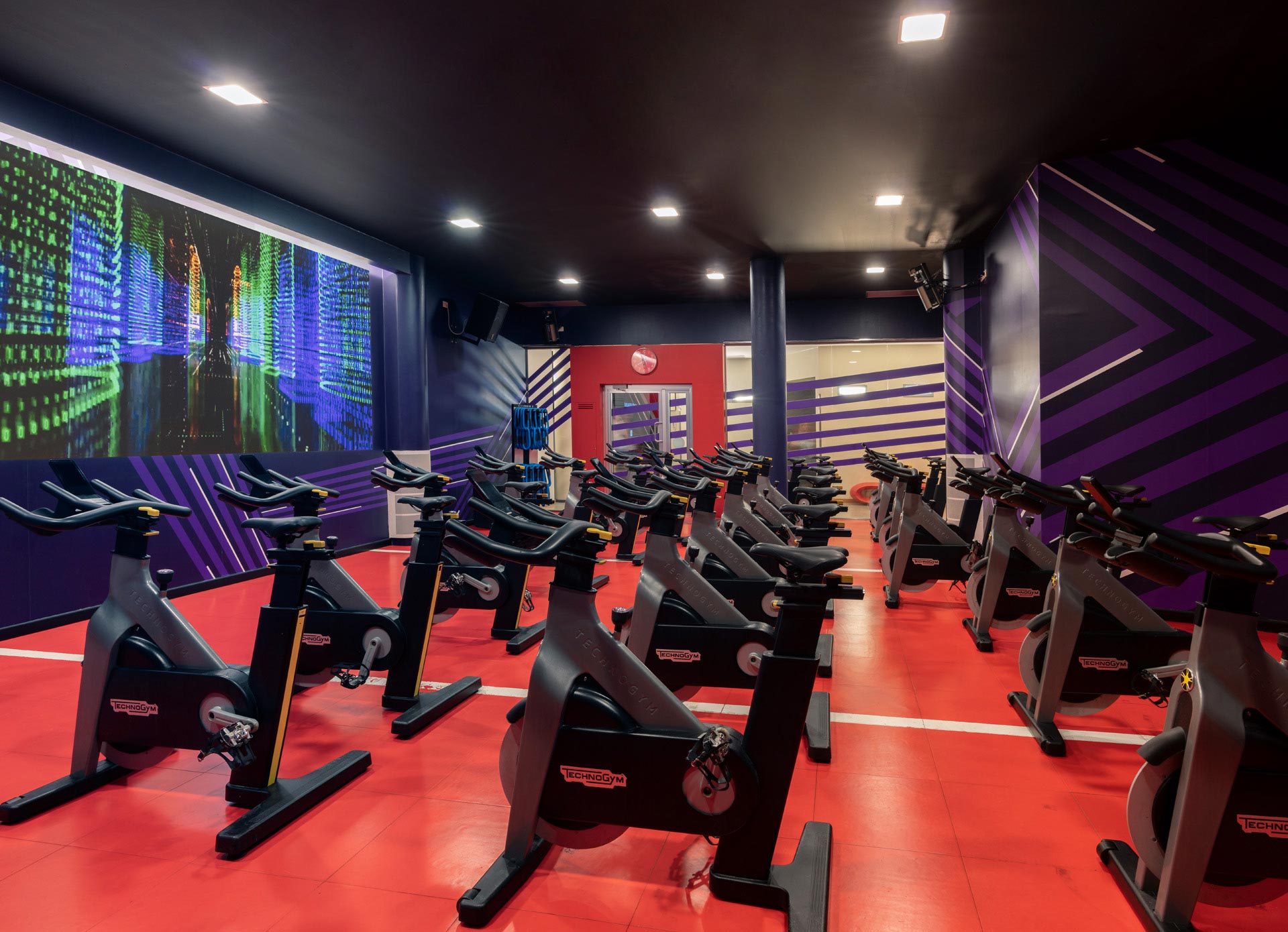 Cycle Studio